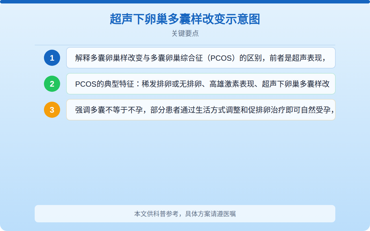 超声下卵巢多囊样改变示意图