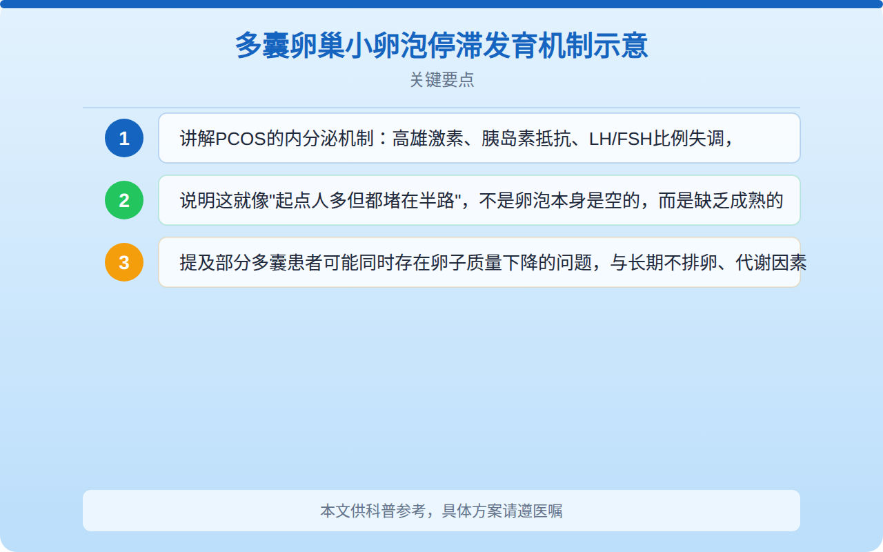 多囊卵巢小卵泡停滞发育机制示意