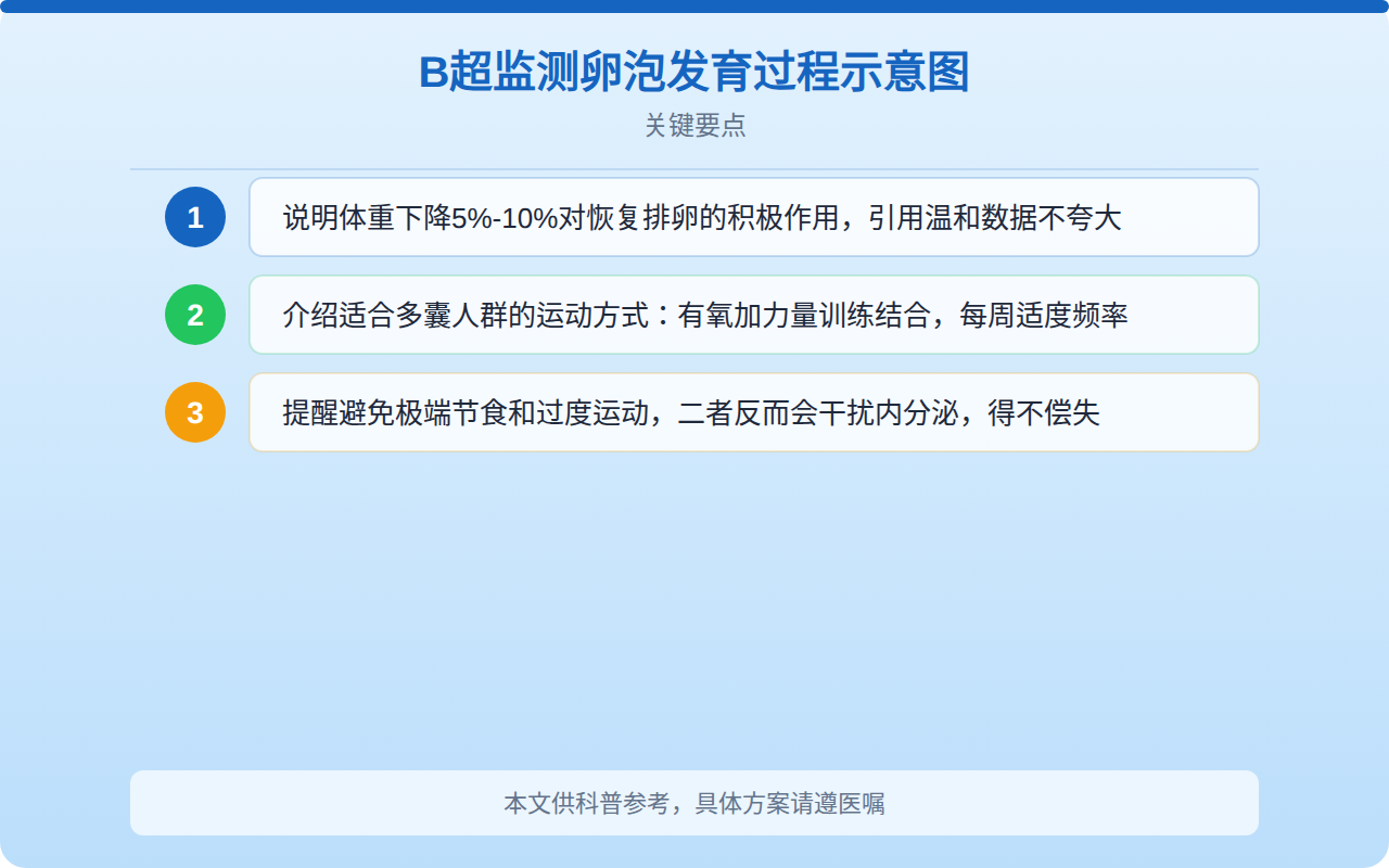 B超监测卵泡发育过程示意图